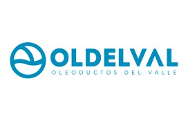 WhatsApp Image 2026-01-06 at 19.13.37